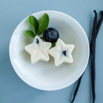 Blueberry & Vanilla Wax Melts